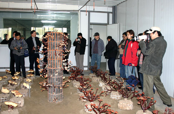 凯发k8国际 凯发k8国际
